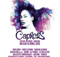 Le Caprices Festival dévoile sa programmation 2015 29