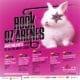 Programme Rock Oz'Arènes 2015 5