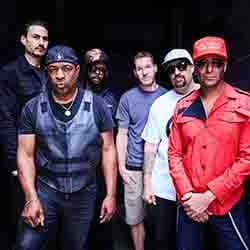 Prophets Of Rage : le groupe politiquement incorrect ! 13