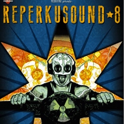 Reperkusound 2013 4