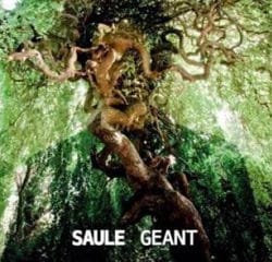 SAULE Géant 8