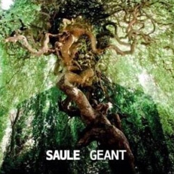 SAULE Géant 19