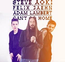 Steve Aoki invite Felix Jaehn et Adam Lambert sur un titre 5