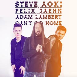 Steve Aoki invite Felix Jaehn et Adam Lambert sur un titre 4