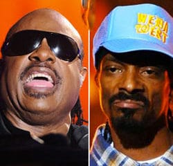 Snoop Dogg s'offre un duo avec Stevie Wonder 17