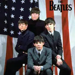 The Beatles <i>The US Albums Box Set</i> 19