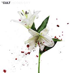 The Cult <i>Hidden City</i> 4