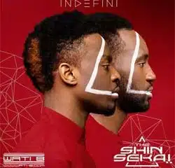 The Shin Sekaï dévoilent leur premier album 8