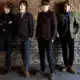 Découvrez le phénomène The Strypes 12