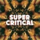 The Ting Tings <i>Super Critical</i> 9