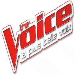 The Voice 4 : C'est la finale ! 10