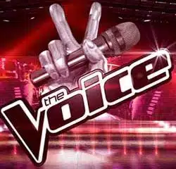 The Voice fait un carton sur TF1 8
