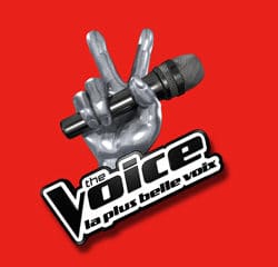 The Voice 3 : Les nouveautés 2013 23