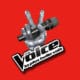 The Voice 3 : Les nouveautés 2013 10