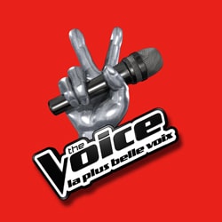 The Voice 3 : Les nouveautés 2013 4