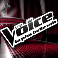 Le jury de The Voice enfin dévoilé ! 25