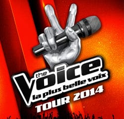 The Voice Tour 2014 5