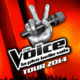 Les 8 talents de la tournée The Voice enfin révélés ! 13