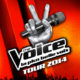 The Voice Tour 2014 6