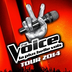 The Voice Tour 2014 4