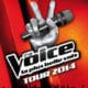 La tournée The Voice accueille les talents des saisons précédentes