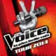 La tournée The Voice accueille les talents des saisons précédentes