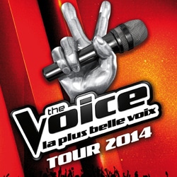 La tournée The Voice accueille les talents des saisons précédentes