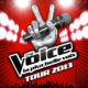 Les stars de The Voice en tournée 7