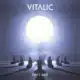 Vitalic <i>Rave Age</i> 9