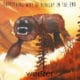 Weezer <i>Everything Will Be Alright In The End</i> 15