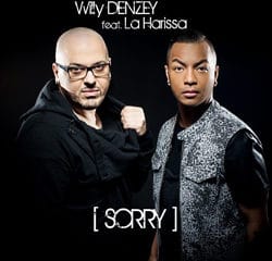 WILLY DENZEY Sorry 11