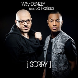 WILLY DENZEY Sorry 13