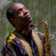 Femi Kuti 12