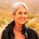 Joan Baez 33