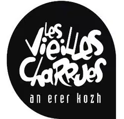 Vieilles Charrues 29
