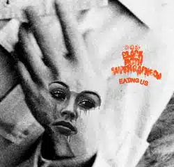 Black Moth Super Rainbow sort l'album "Eating Us". 11