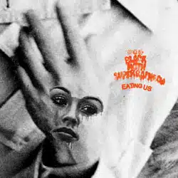 Black Moth Super Rainbow sort l'album "Eating Us". 10