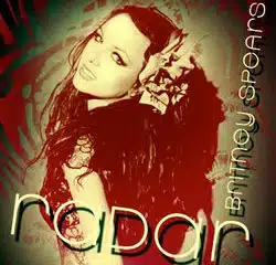 La chanteuse Britney Spears gâte ses fans 14