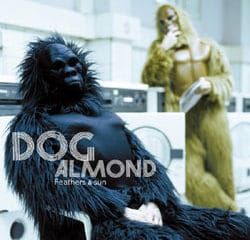 Dog Almond <i>Feathers & Sun</i> 29