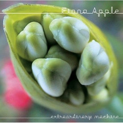 Fiona Apple Extraordinary machine 31