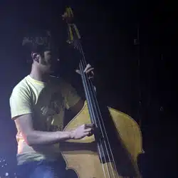 Concert de Girls in Hawaii à l'Olympia le 7 mai 2008 4