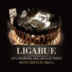 Ligabue <i>Sette Notti In Arena</i> 15