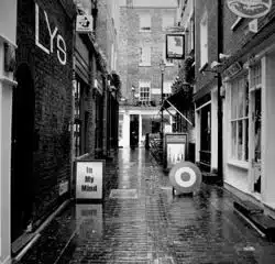 Lys <i>In my mind</i> 5