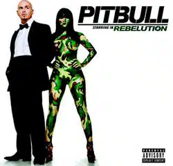 Pitbull revient avec un nouvel album 26