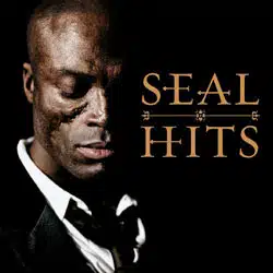SEAL Hits 4