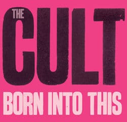 The Cult 14