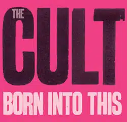 The Cult 8