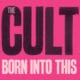 The Cult 12