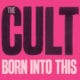 The Cult 6