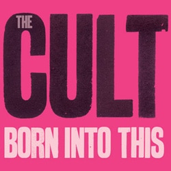 The Cult 10